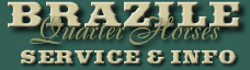BRAZILE QUARTER HORSES
