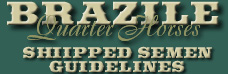 BRAZILE QUARTER HORSES