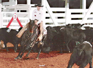 BRAZILE QUARTER HORSES